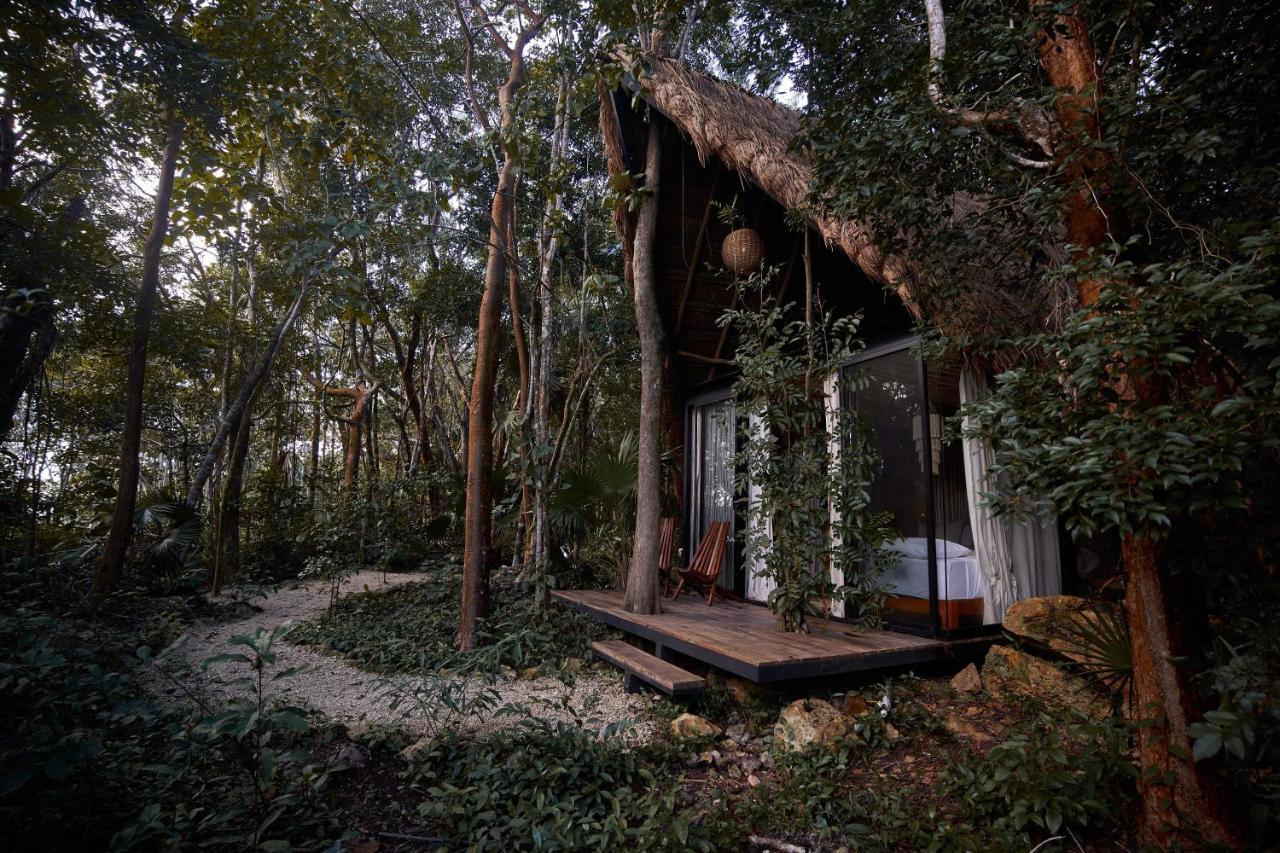Kapok Bacalar - Plant Based Hotel Buenavista  Esterno foto